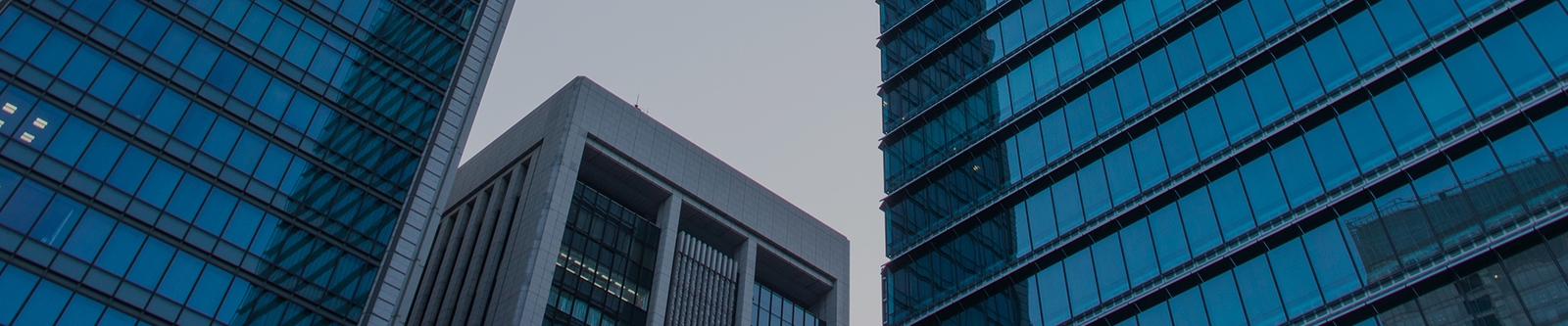 China Shenzhen Xiaohongbao Technology Co., Ltd. Perfil da empresa 